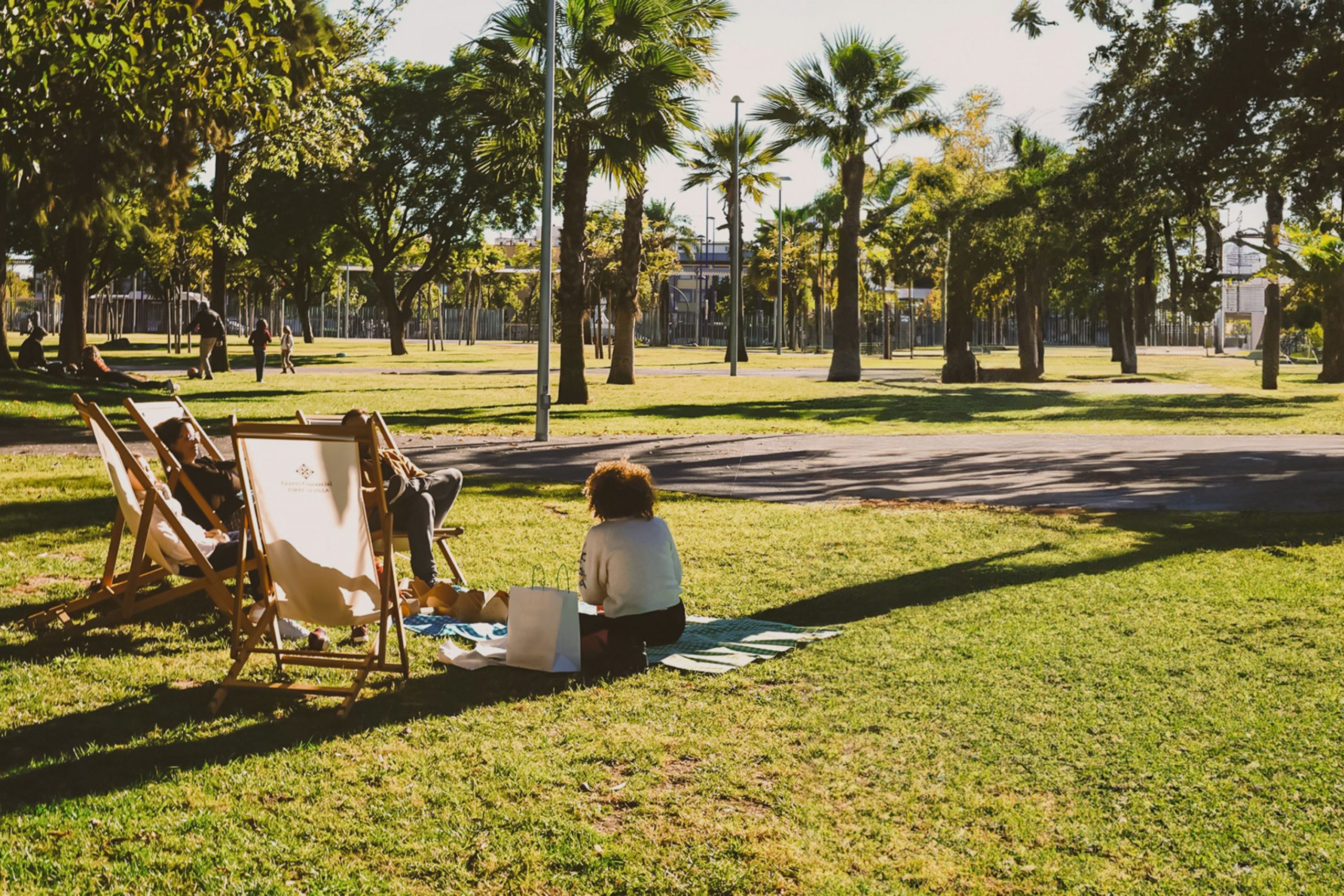 Picnic en Parque Magallanes